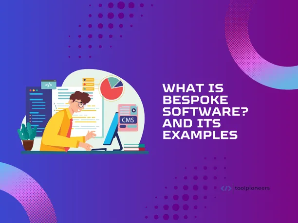 What is Bespoke Software and its Examples?
