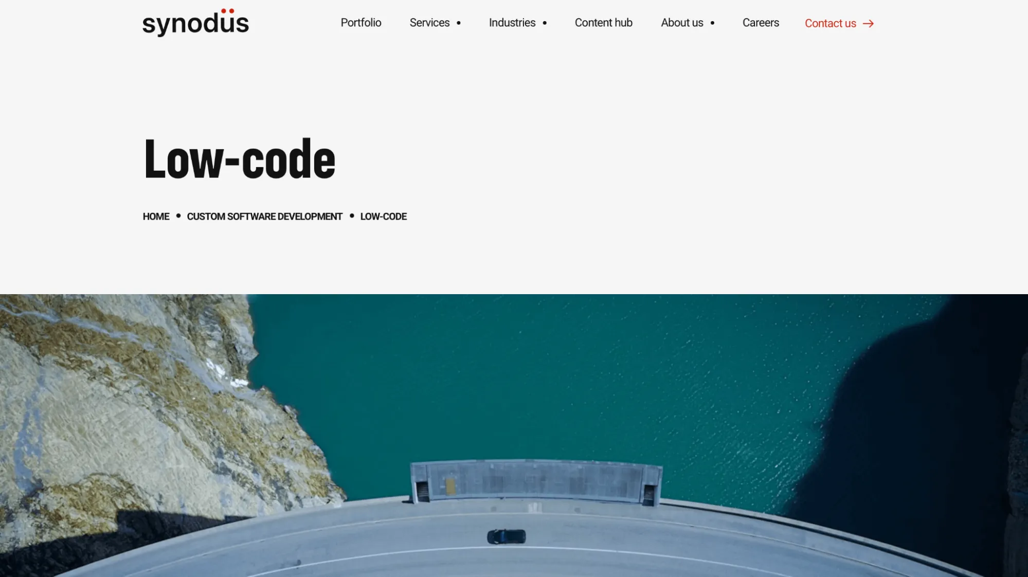 Synodus